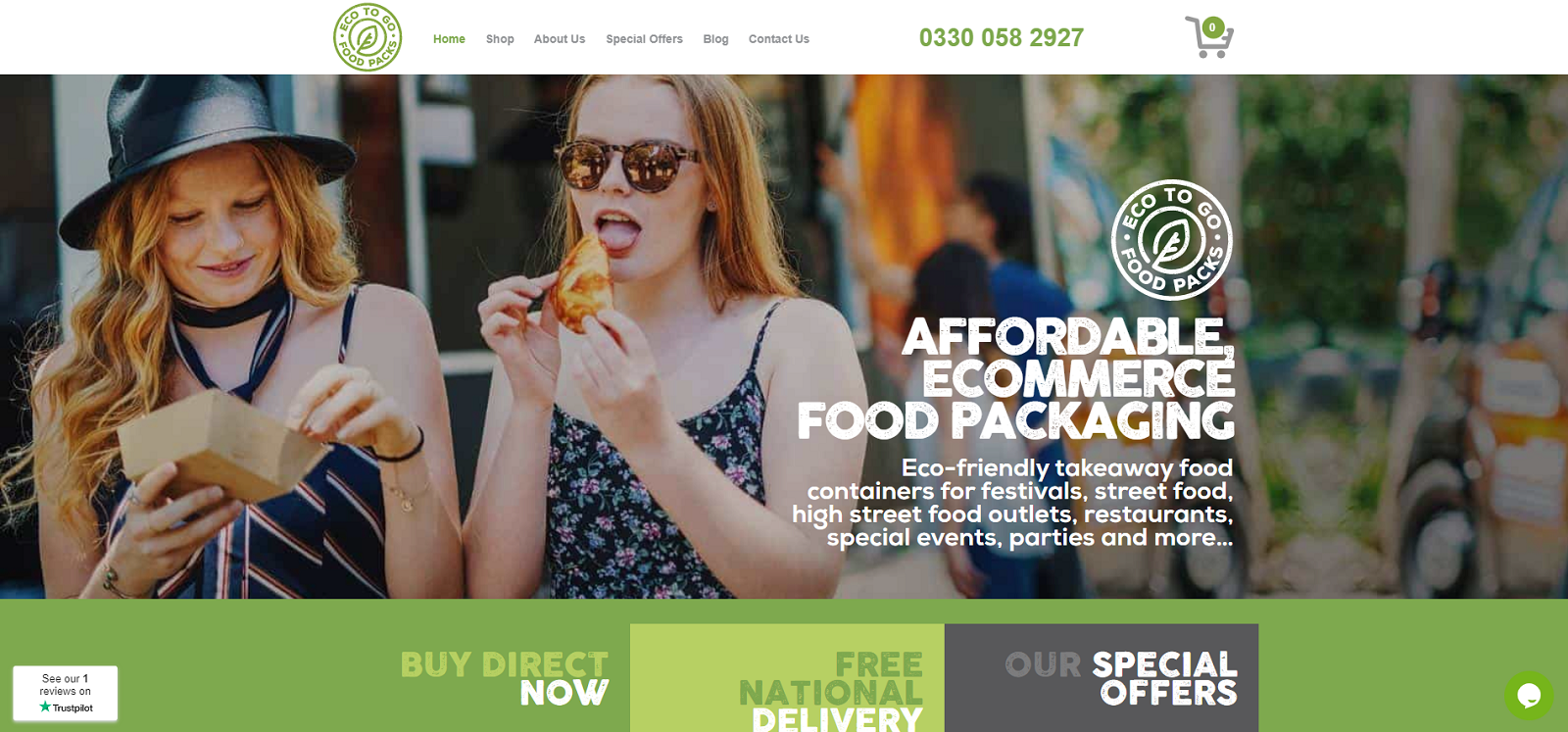 ecotogo website design